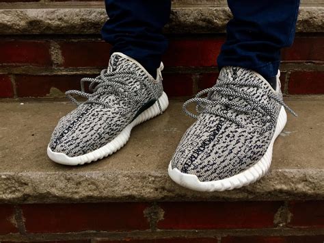 best turtle dove reps